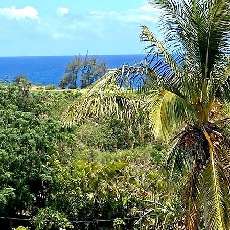 Le Sud Alize Your Host Helper Saint-Joseph Exterior foto